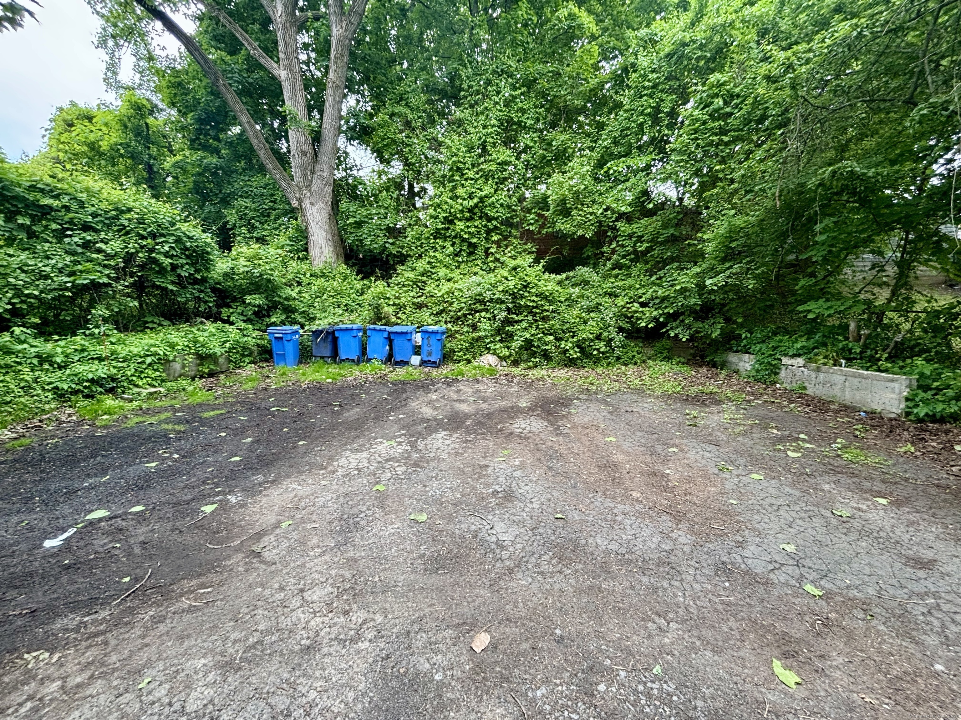 Property Photo:  41 Lisbon Street  CT 06106 