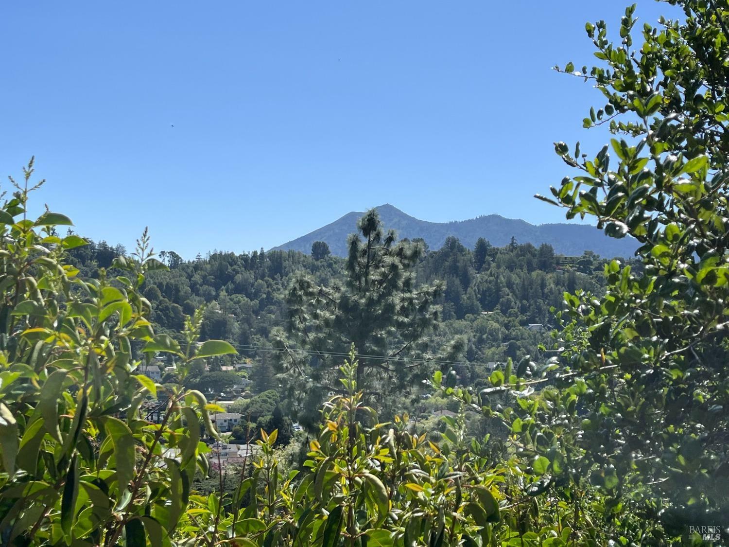 190 Tamal Vista Drive  San Rafael CA 94901 photo