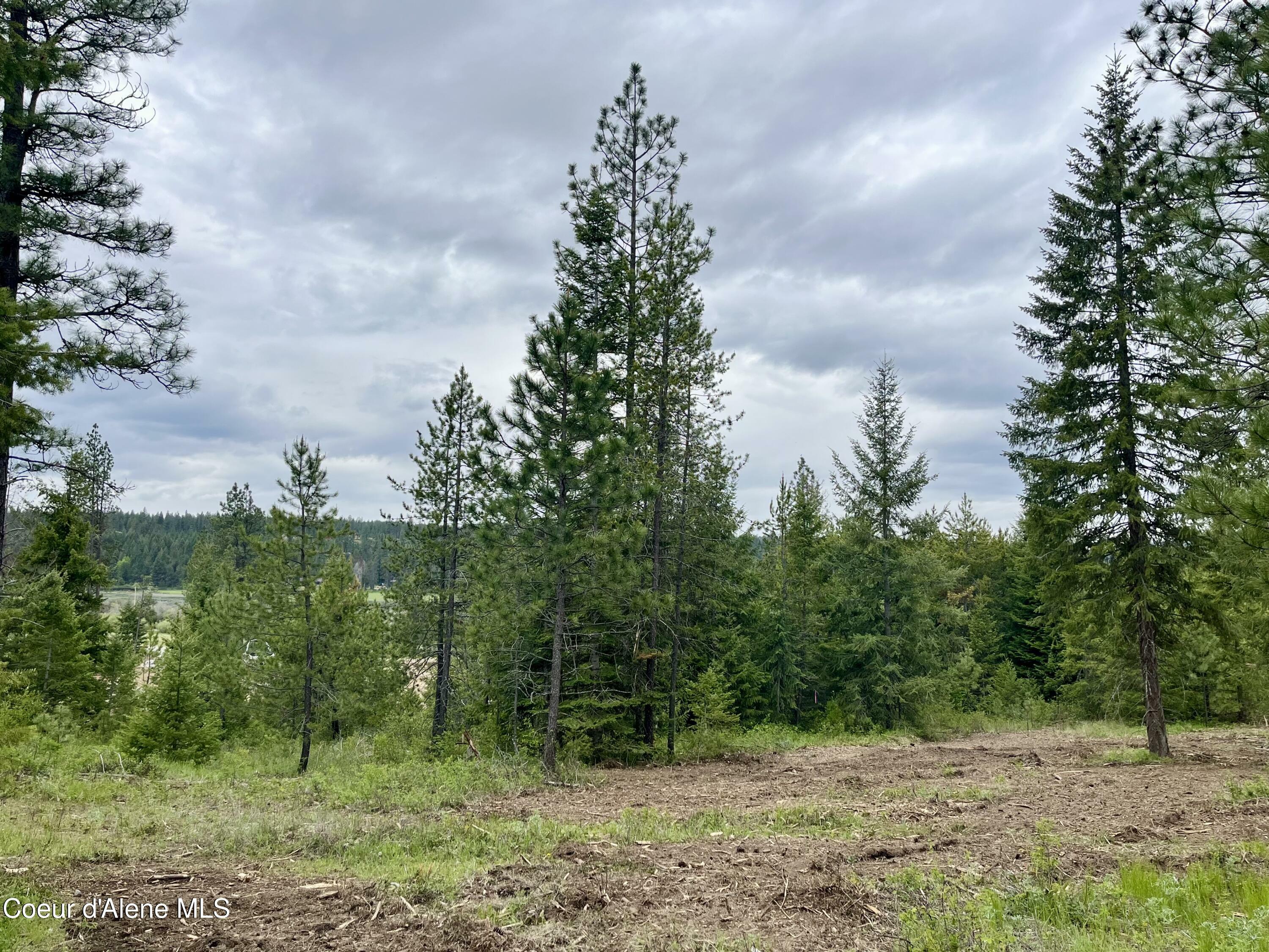 Property Photo: 12 Acres Elizabeth Lane ID 83801