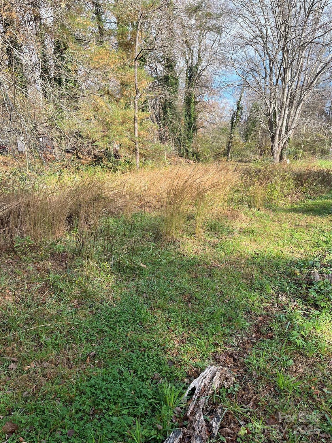 Property Photo: 1208 W Gilbert Street NC 28792