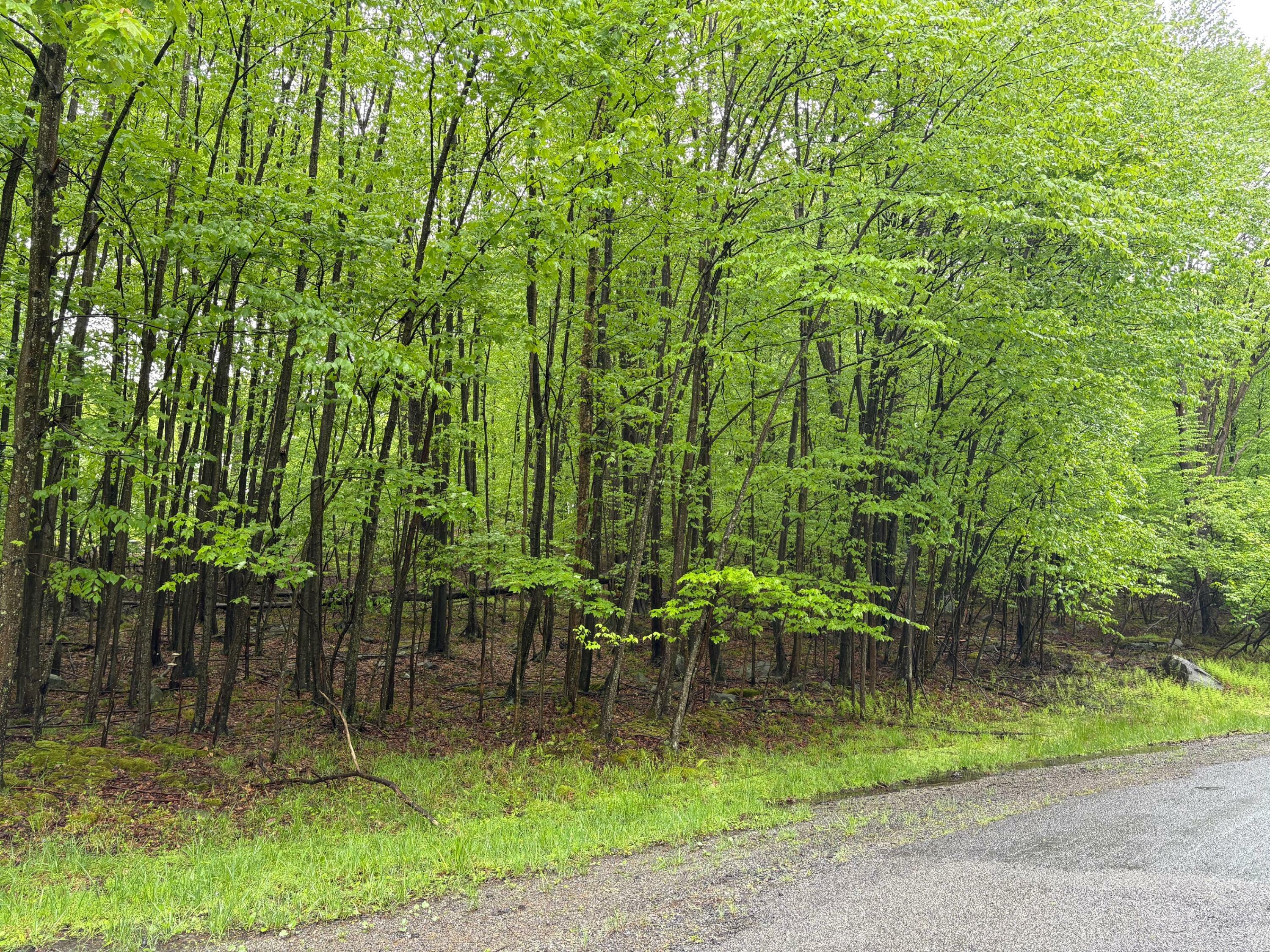 Property Photo: 14A Samana Cay Rd PA 15801