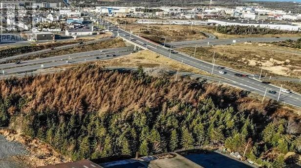Property Photo:  487 Torbay Road  NL A1A 5C9 