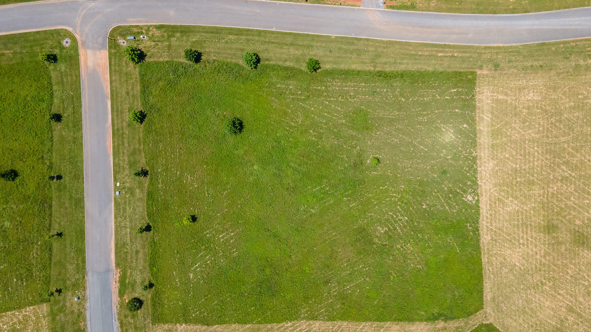 101 Pinnacle Point Drive  Dunlap TN 37327 photo