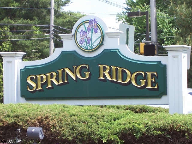 Property Photo: 160 Potomac Dr Condo NJ 07920