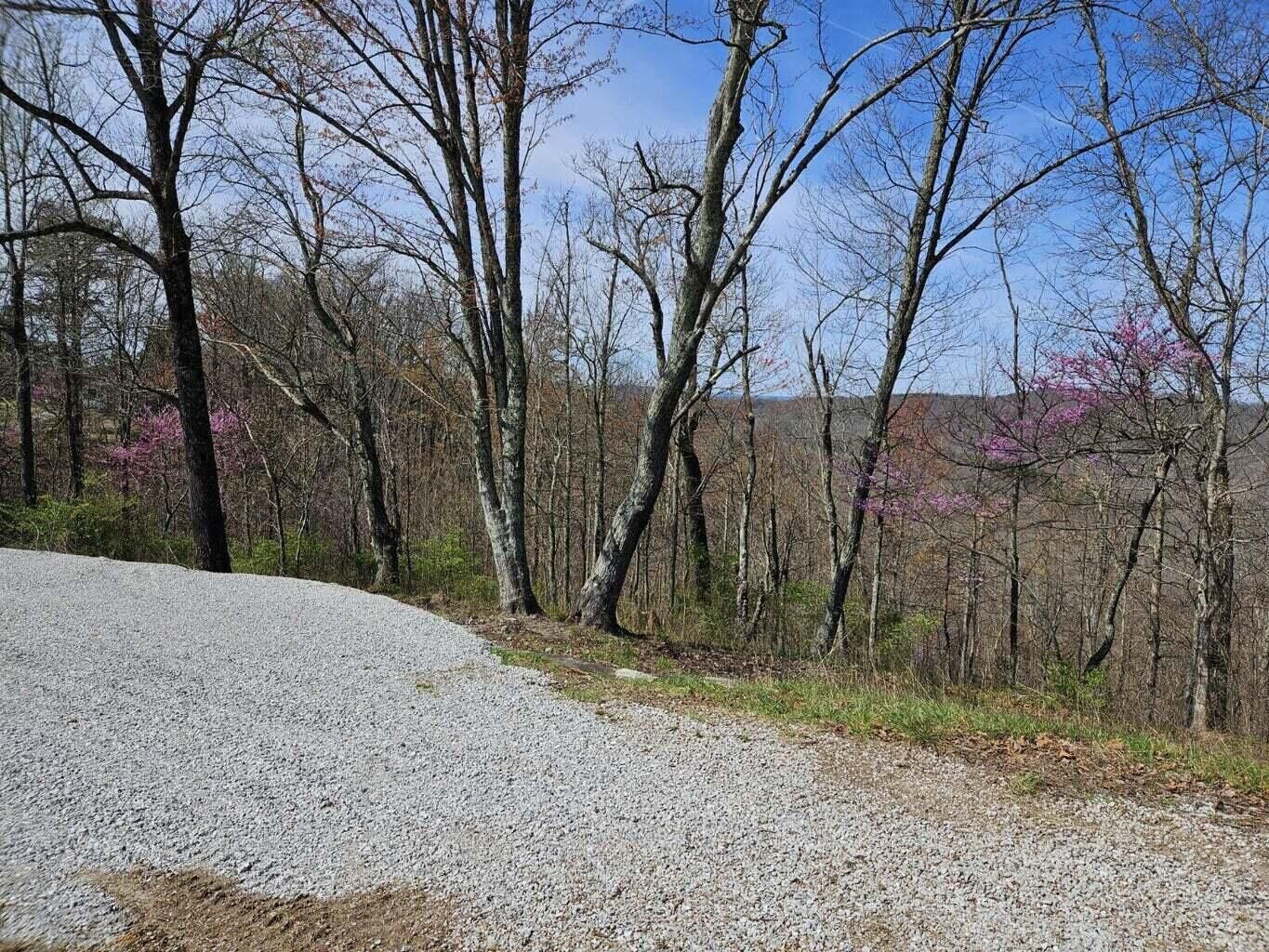 Property Photo:  763 Dixie Bend Rd. Road  KY 42519 
