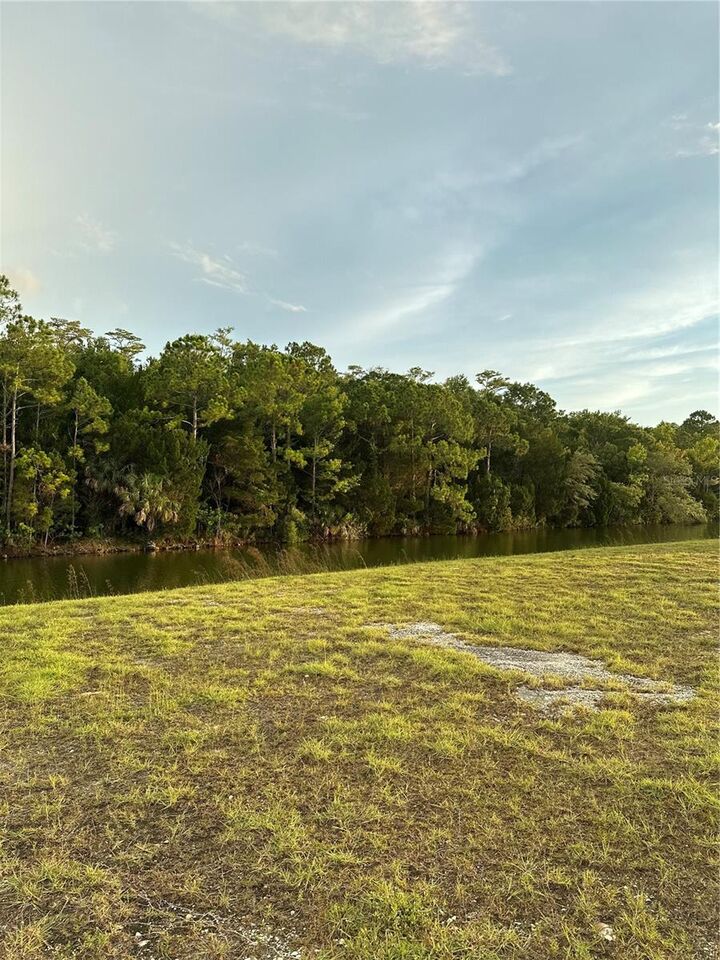 Property Photo:  4058 Jewfish Drive  FL 34607