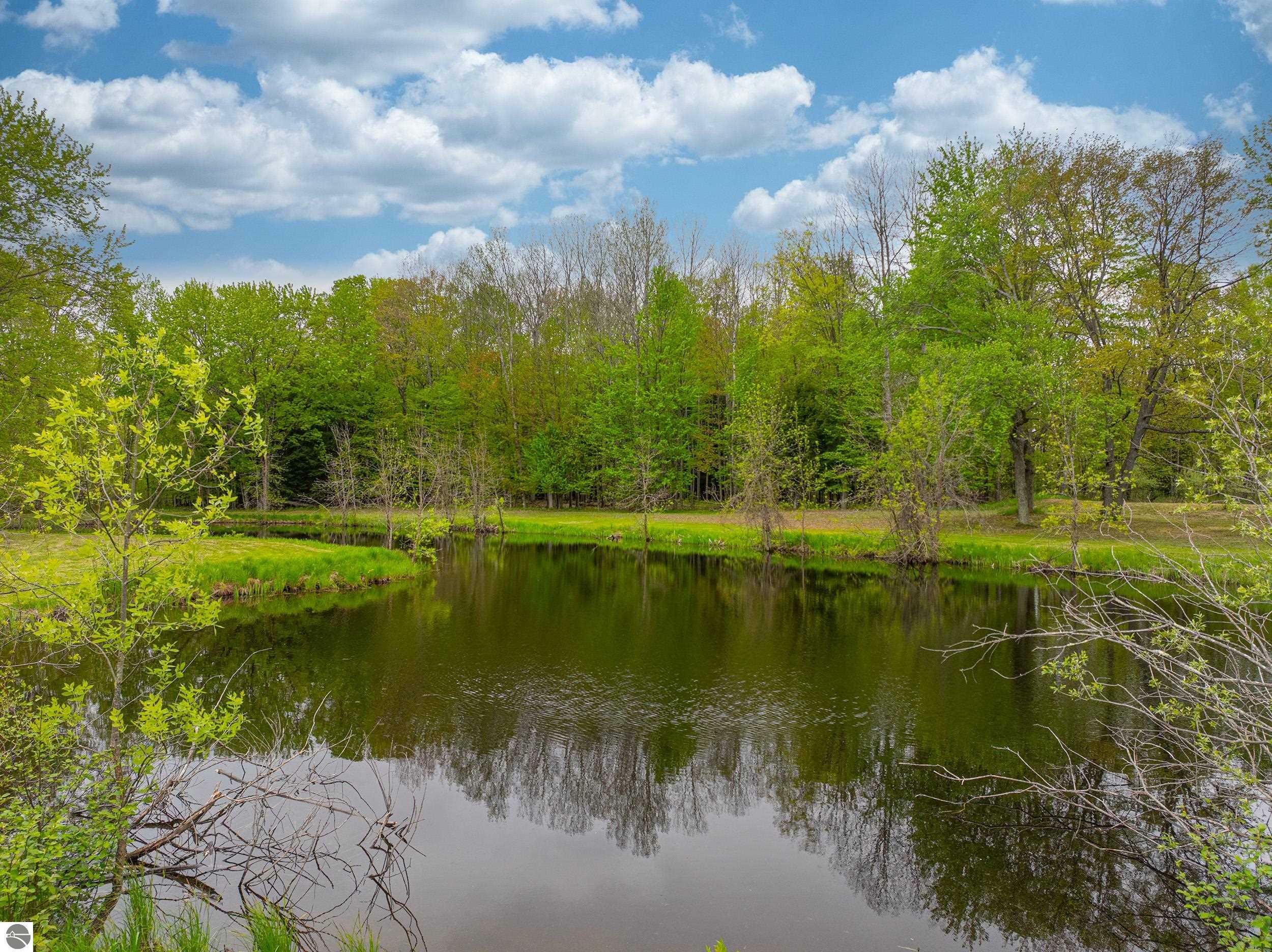 Property Photo: 11050 Thirteen Mile Road MI 49614