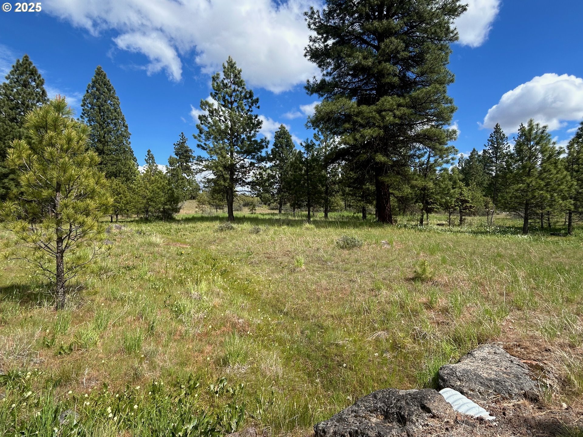 Property Photo: 30 Lutz Pkwy WA 98620