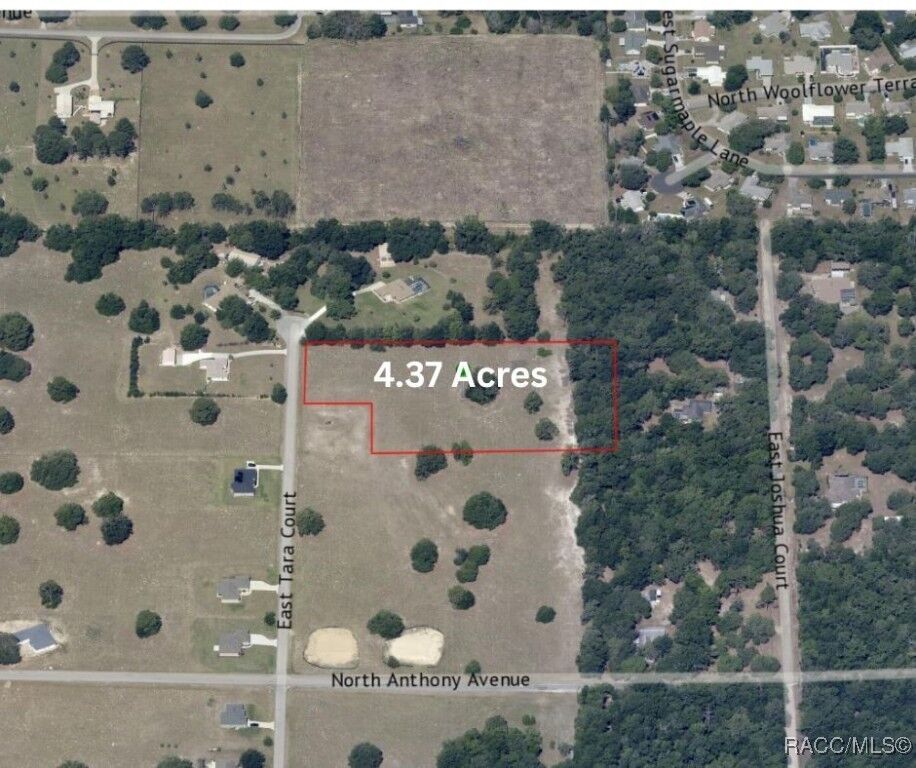 Property Photo:  95 E Tara Court  FL 34442 