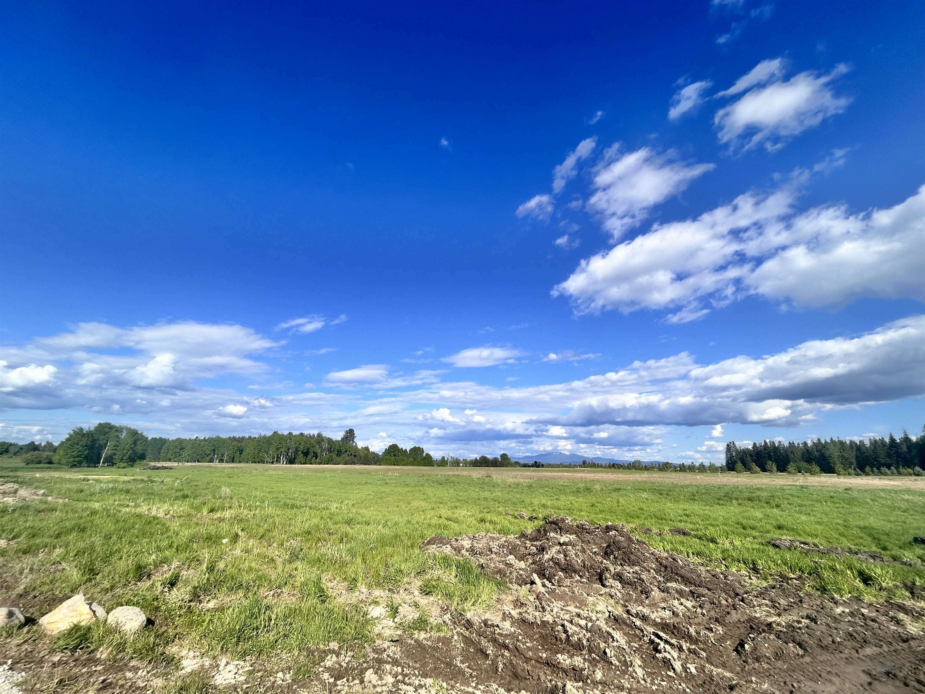 Property Photo: 37412 N Spotted Rd WA 99006