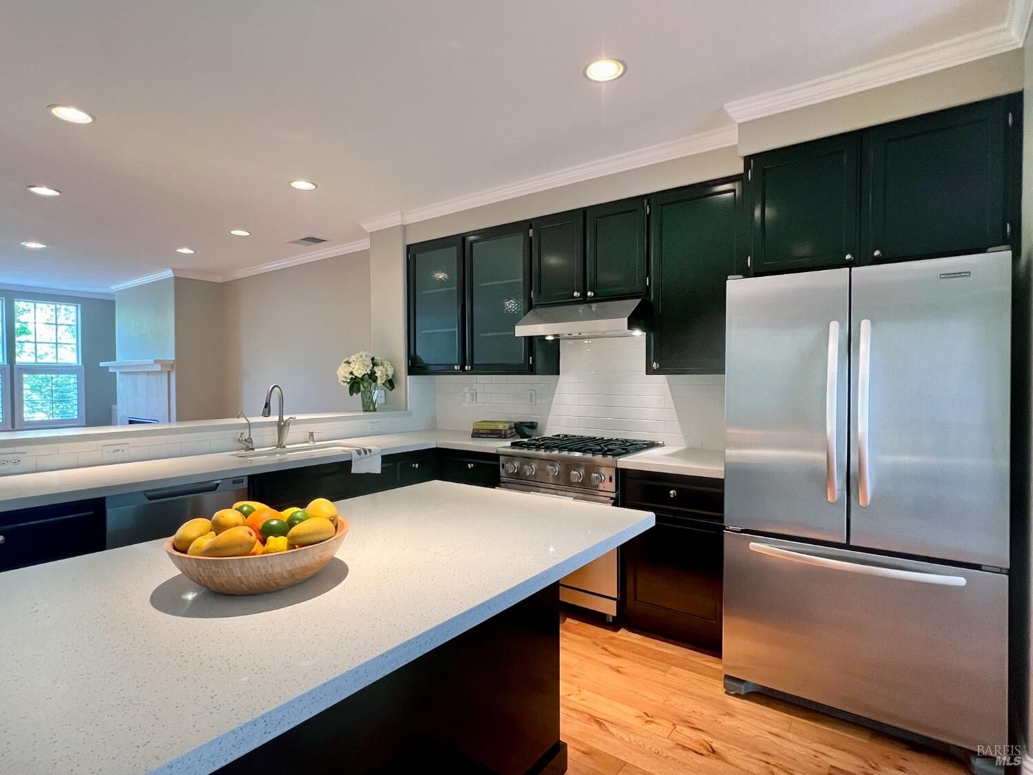 Property Photo:  764 McClelland Drive  CA 95492 