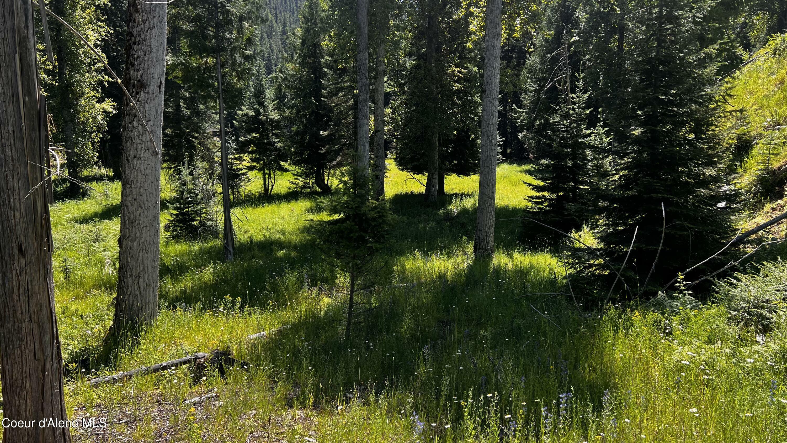 Property Photo: Nka Beaver Creek Rd ID 83873