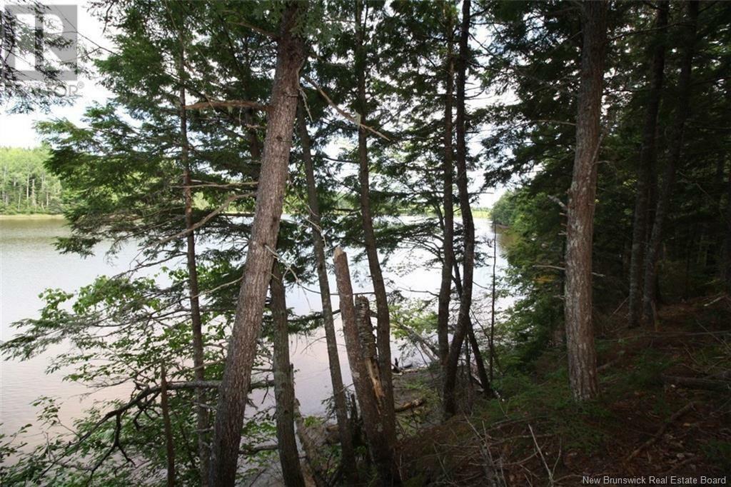 Property Photo:  15-59 Bass River Point Route  NB E4T 1J3 