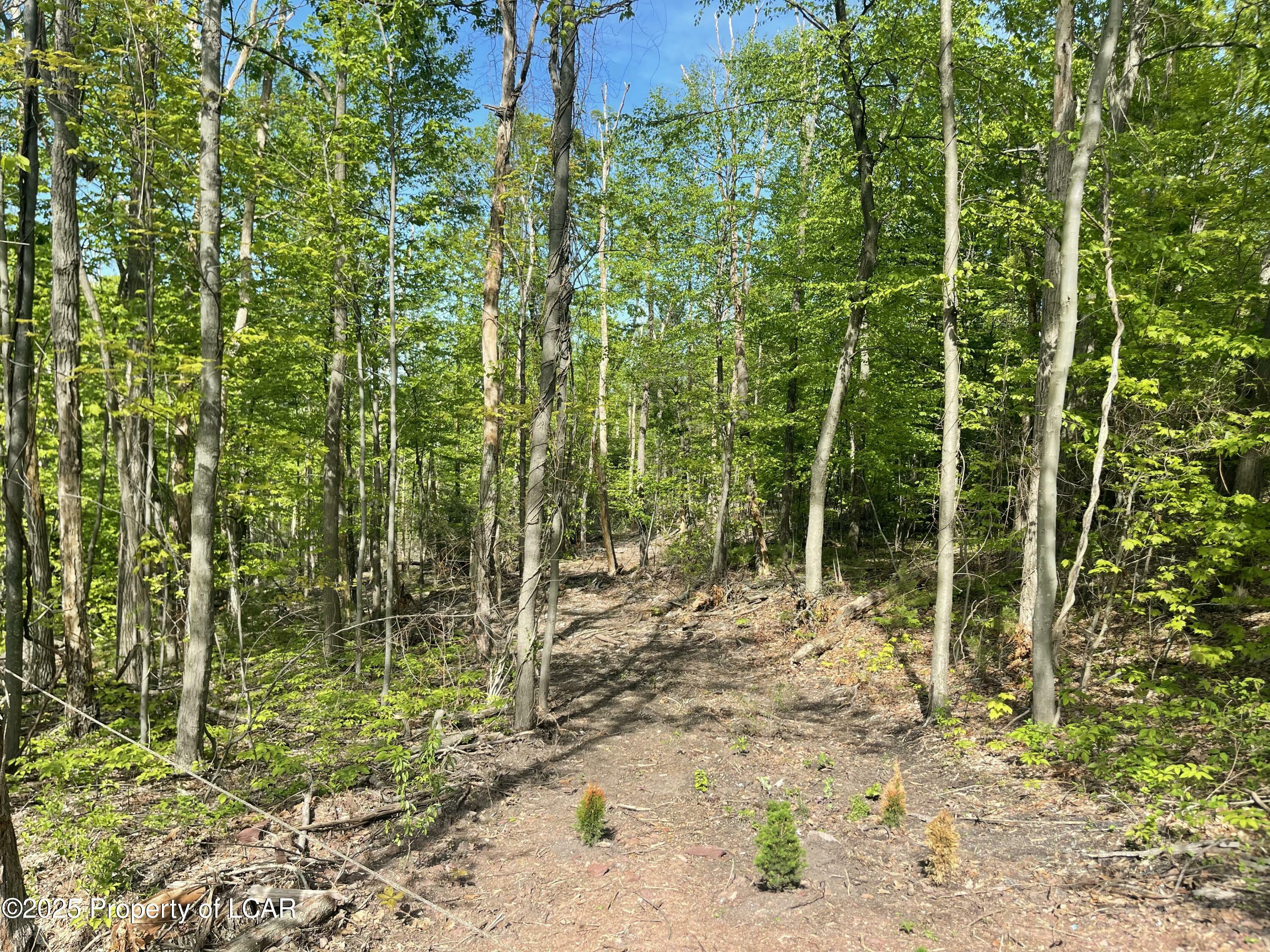 Property Photo: Hazleton-Berwick Hwy PA 18635