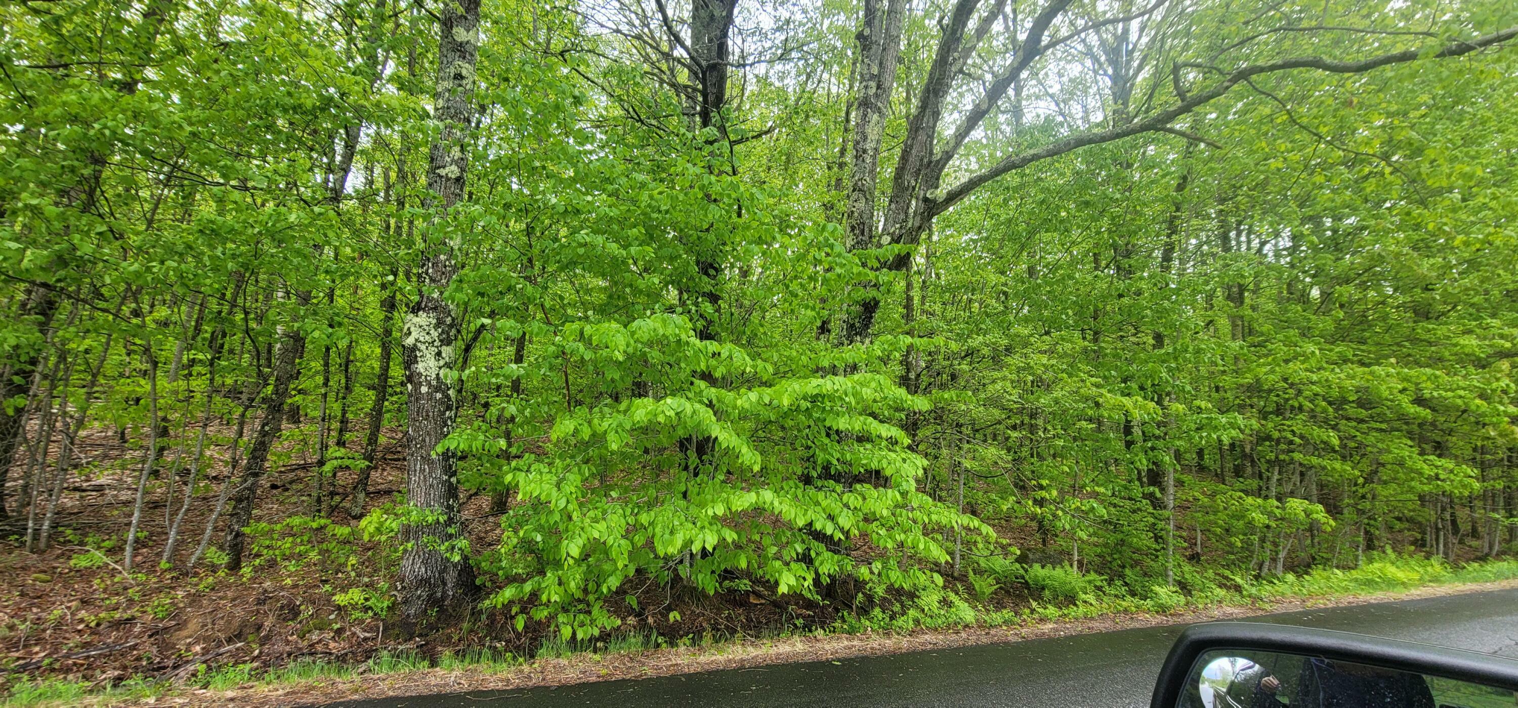 Property Photo: 35 Pinewoods Road ME 04240