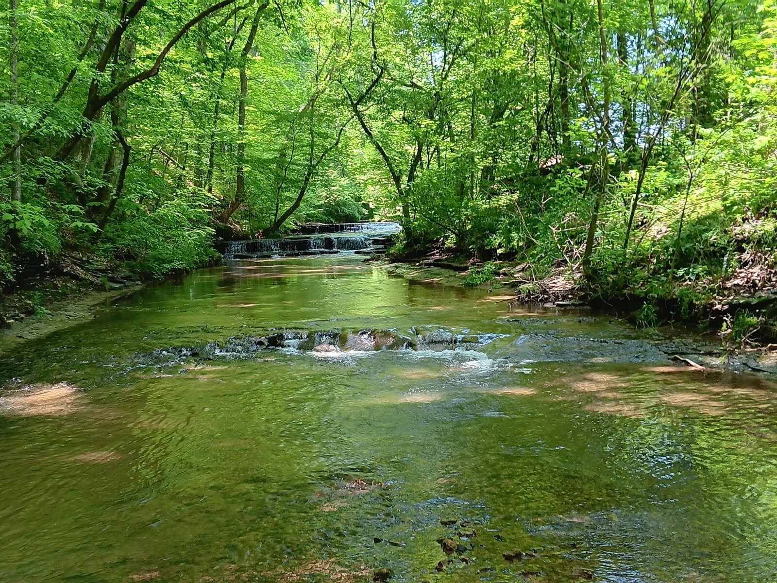 Property Photo:  2073 Choates Creek Rd  TN 38464 