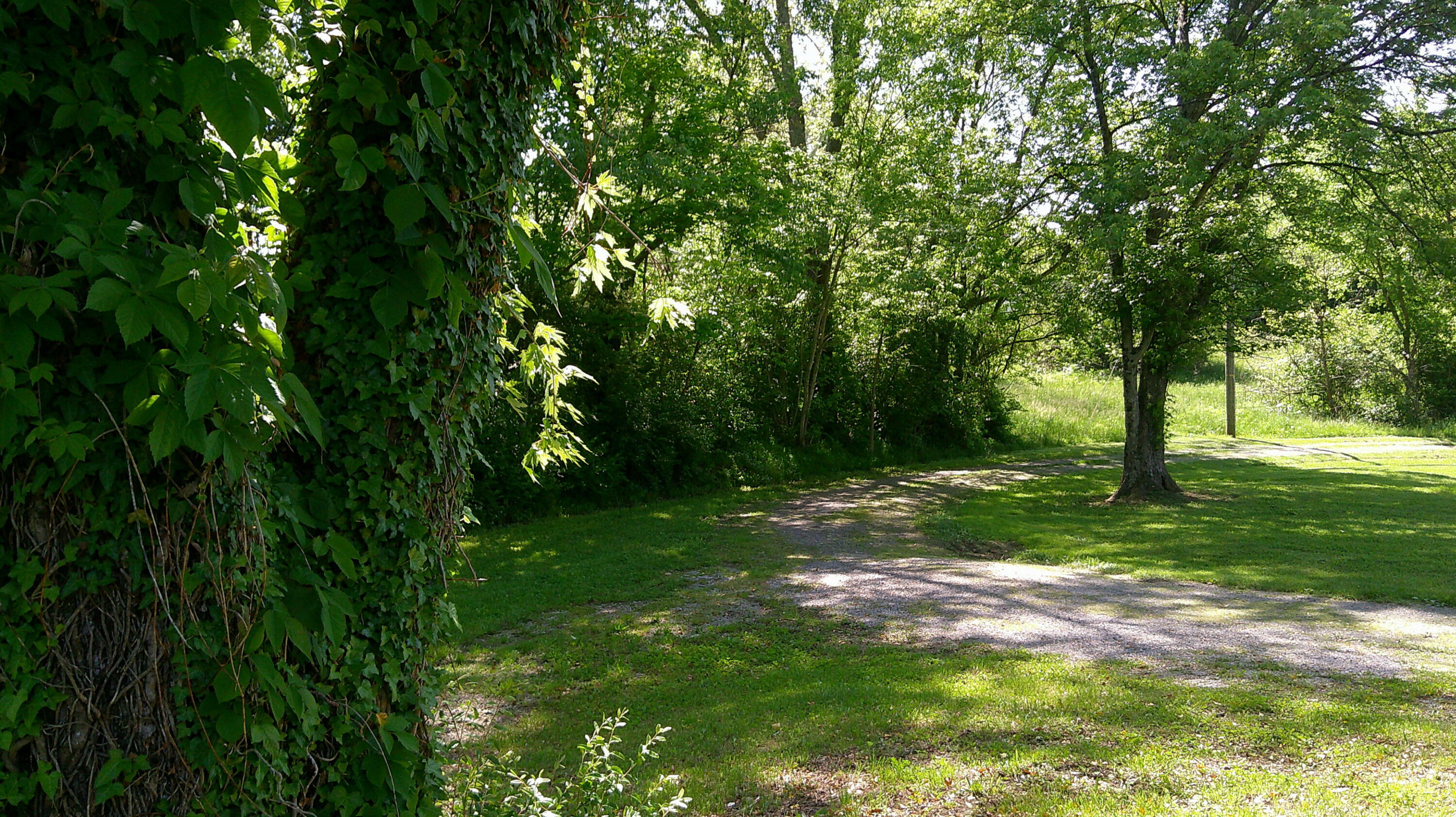 Property Photo: 5963 Highway 36 East KY 41083