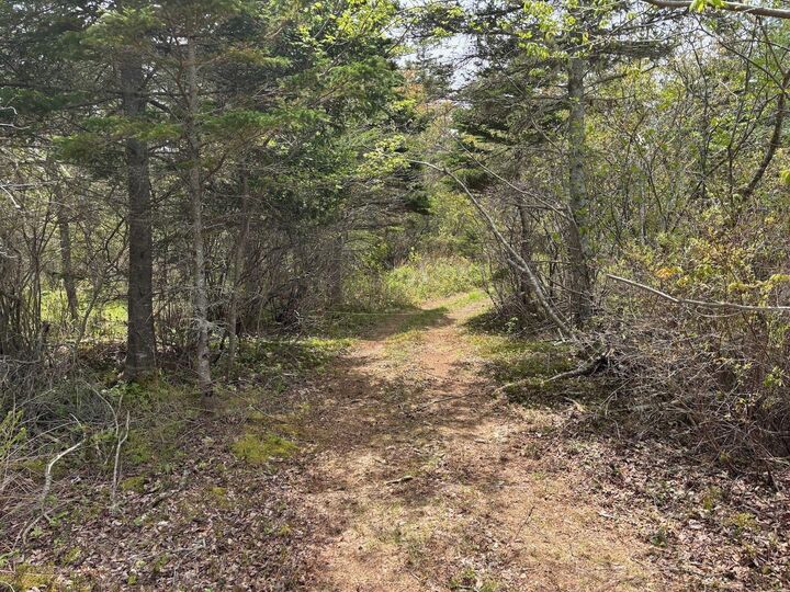 Property Photo:  Lot Melbourne Road  NS B0W 1B0 