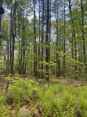 Property Photo: Lot A Ragged Hill Rd MA 01452