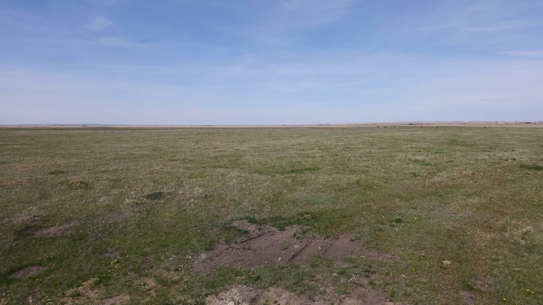 Property Photo: Vulcan County AB T0L 2B0