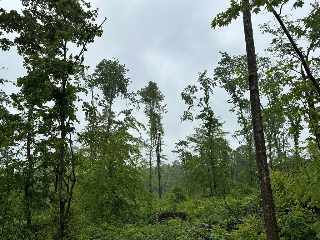 Property Photo: 2218 Gallia Blackfork Road OH 45656