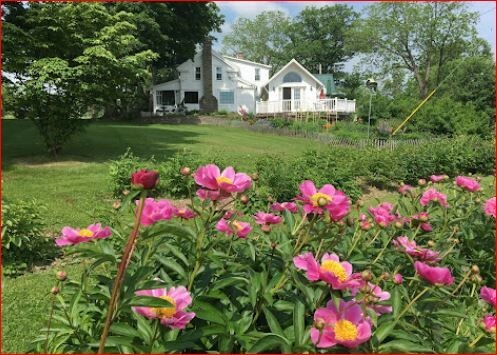 Property Photo: 226 Hines Road NY 14867