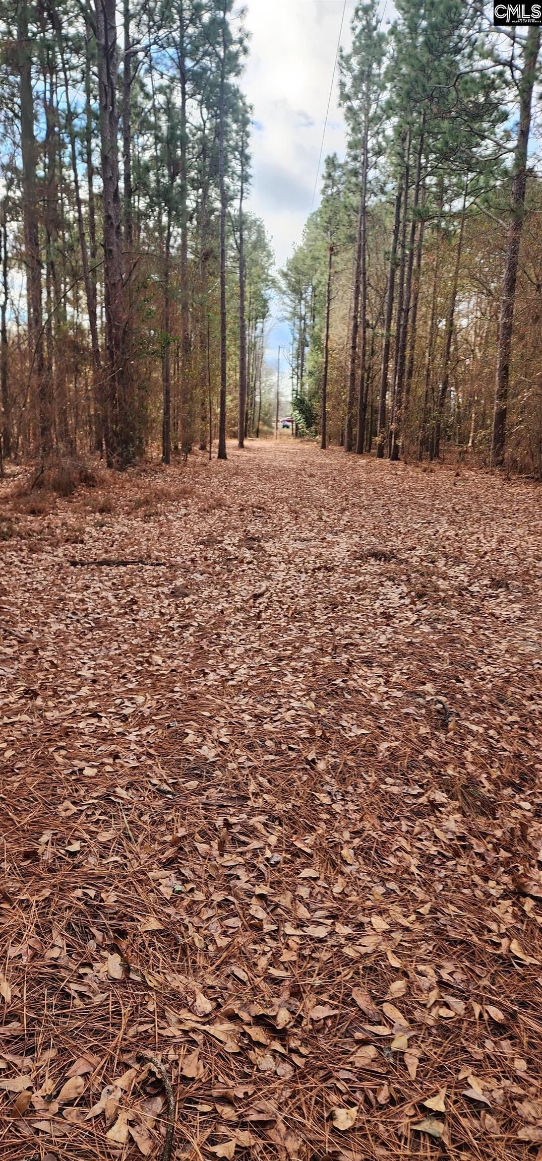 Property Photo:  2016 Old Barnwell  SC 29073 