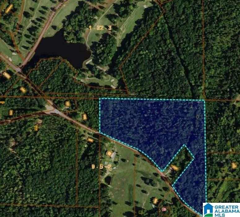 Property Photo: 8789 Marsh Mountain Road 1 AL 35126