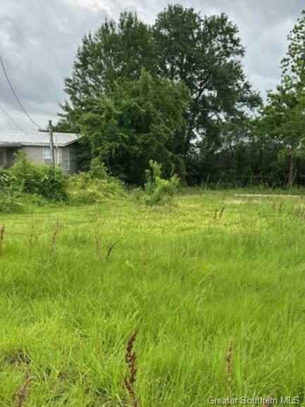Property Photo:  3487 Eliza Road  LA 70605 