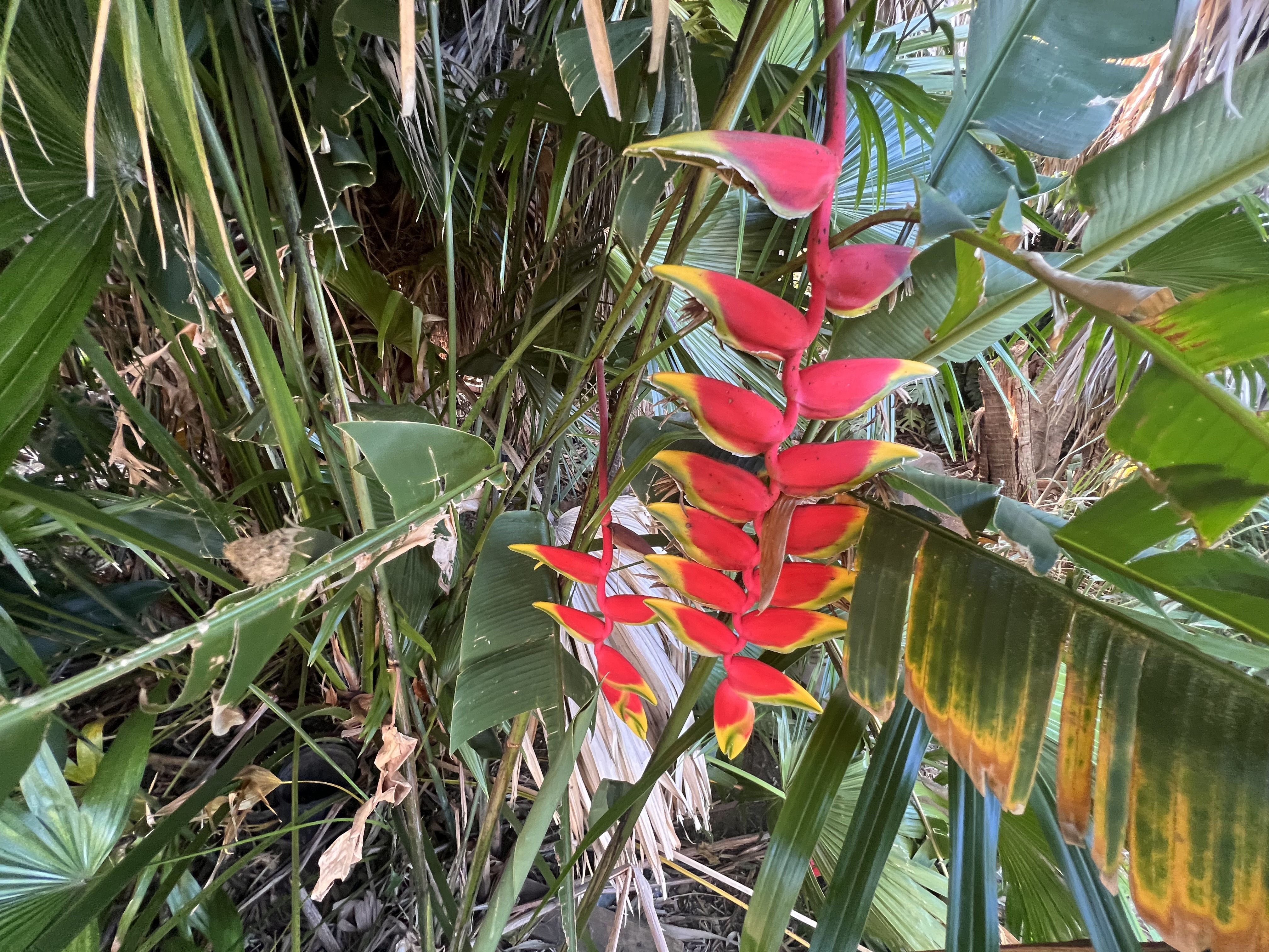 Property Photo: Kukuau St HI 96720