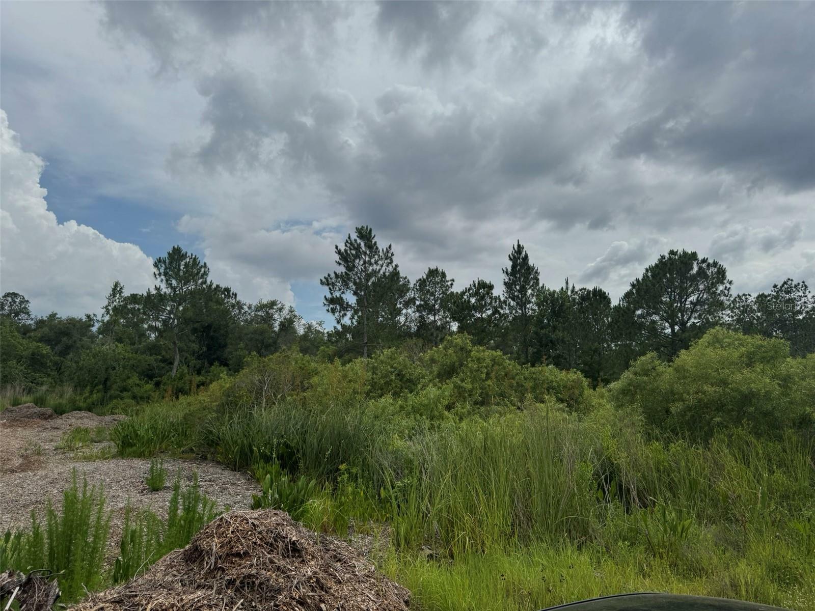 Property Photo: Otter Drive FL 33597