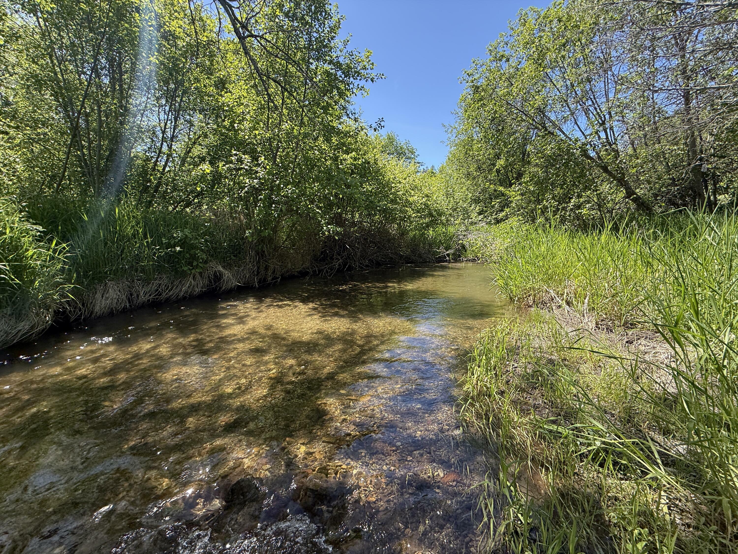 Property Photo: