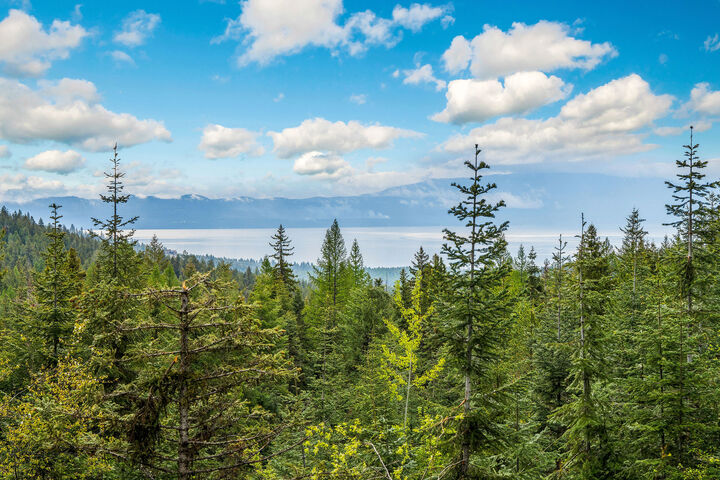 Property Photo:  1520 Bierney Creek Road  MT 59922 