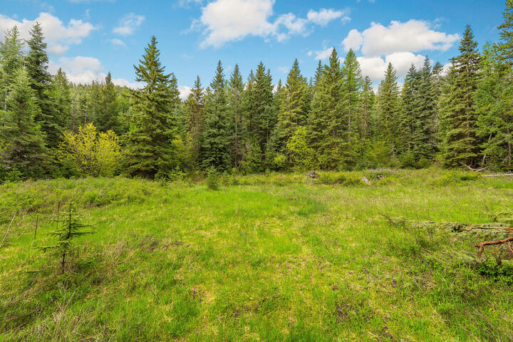 Property Photo: 1520 Bierney Creek Road MT 59922