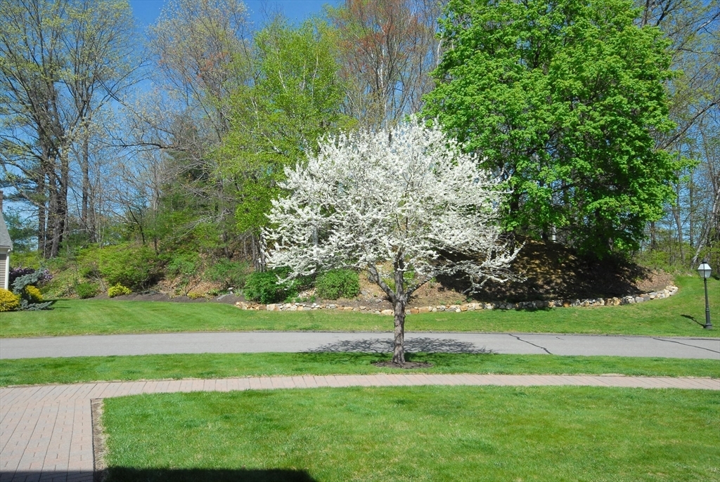 Property Photo:  15 Edmonds Road 15  MA 01742 