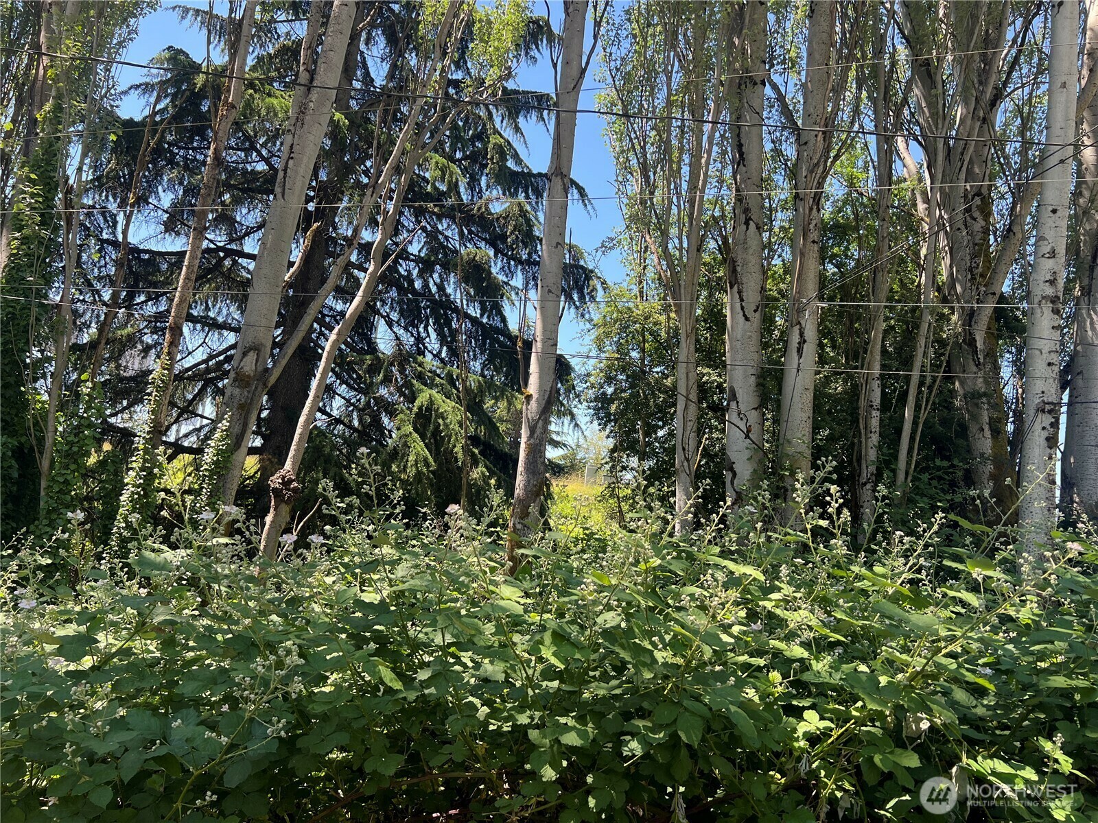 Property Photo: 79 Xx Military Road S WA 98108