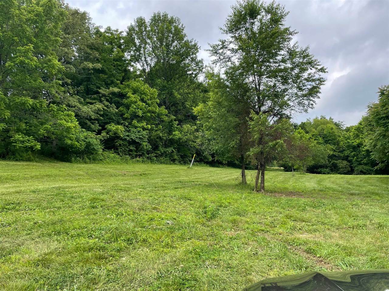 Property Photo: 0 Bill Dedmon Road KY 42101