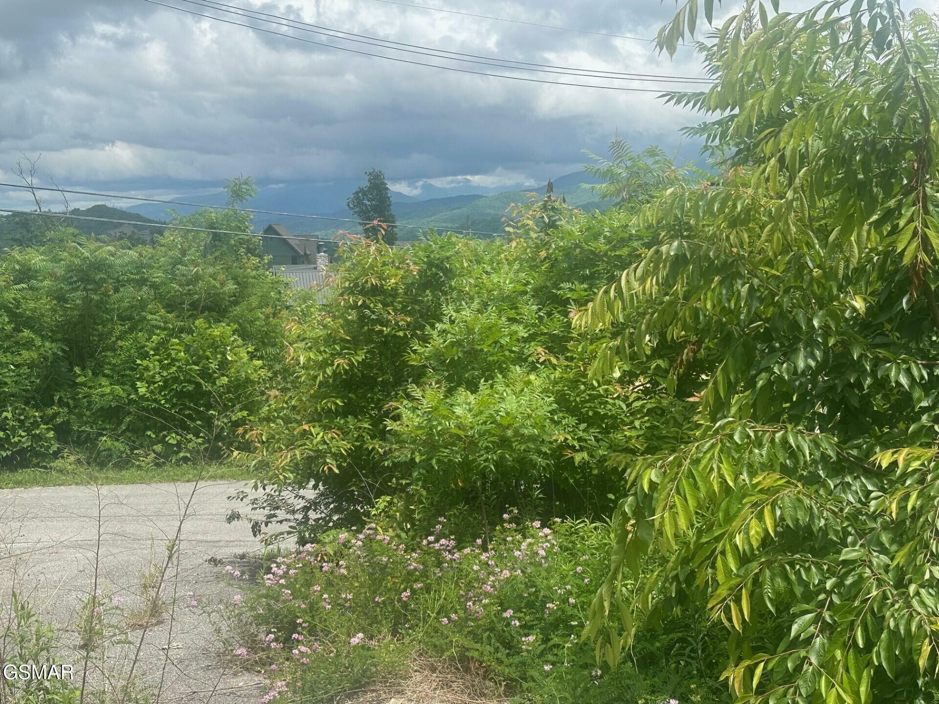 Property Photo: 909 N Woodland Drive TN 37738