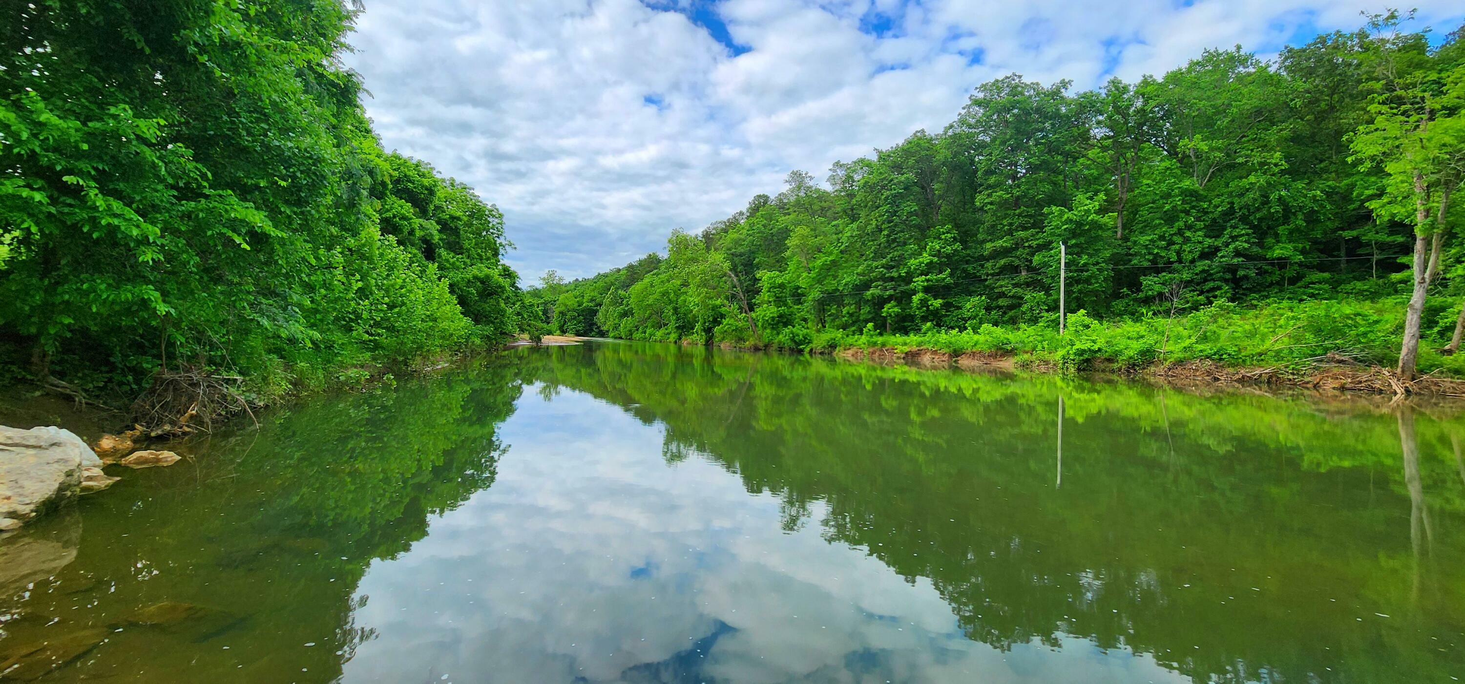 Property Photo: 34587 County Road 246 MO 65608