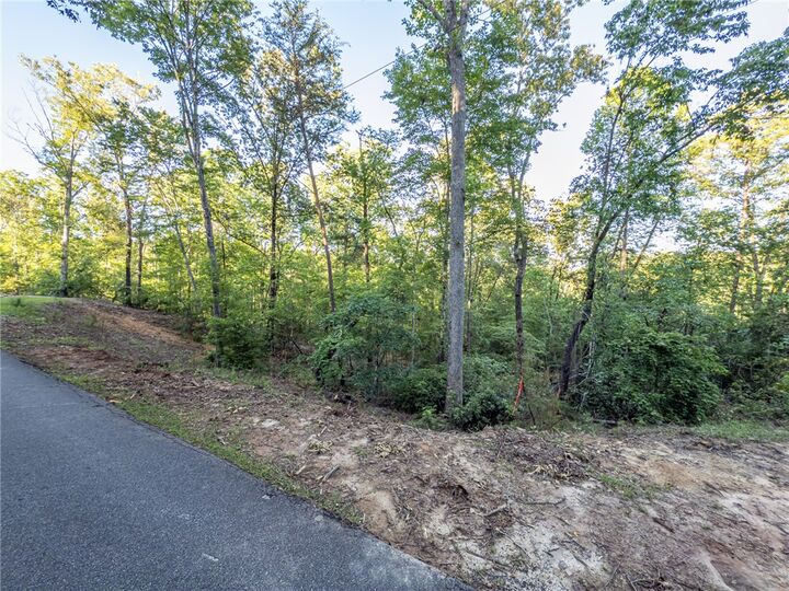Property Photo: Lot 23 Old Shallowford Bridge Road SC 29685