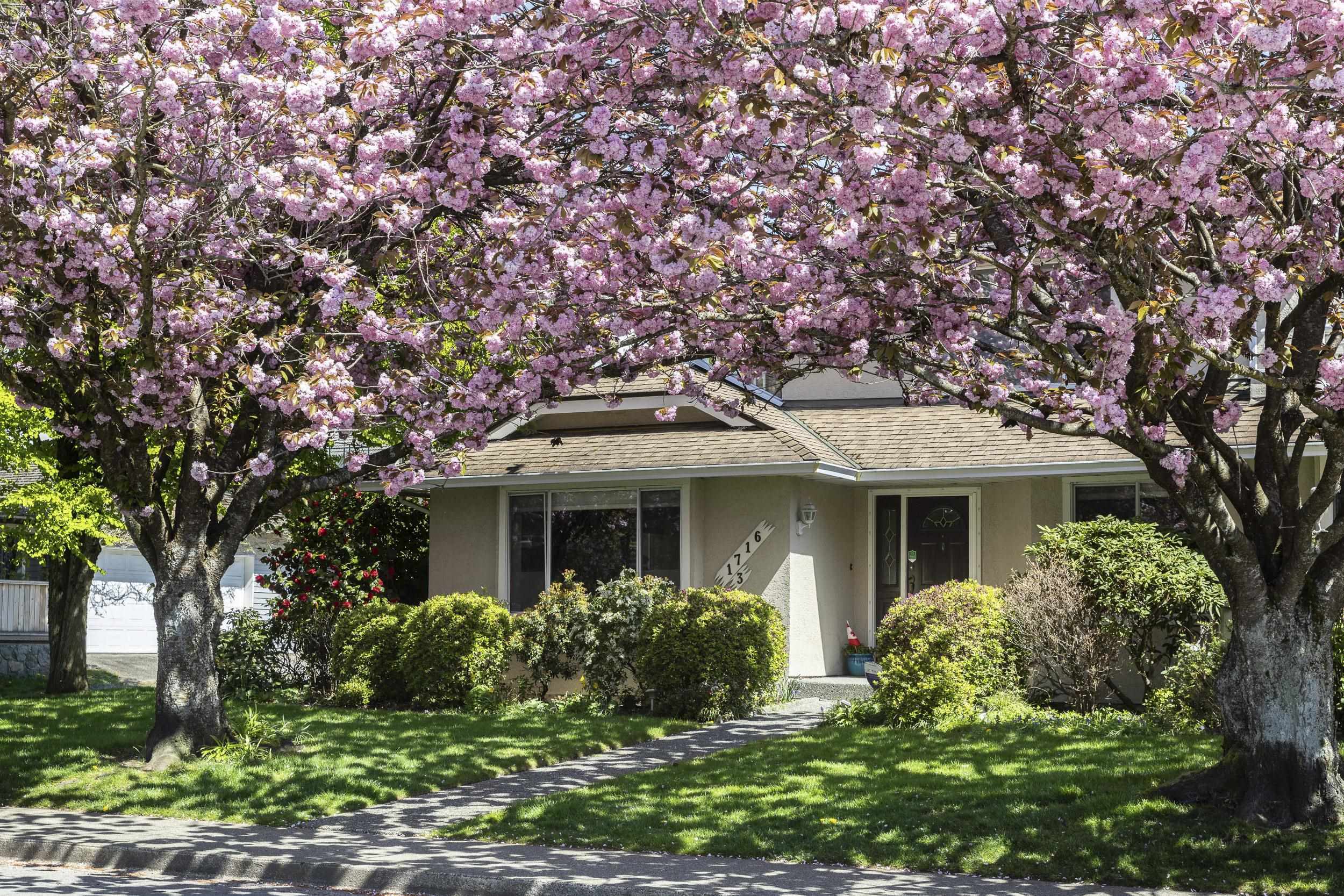 Property Photo:  1716 Mahon Avenue 3  BC V7M 2T1 
