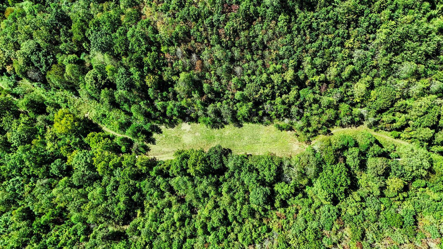 Property Photo: 1259 Shepherd Fork Road OH 45663