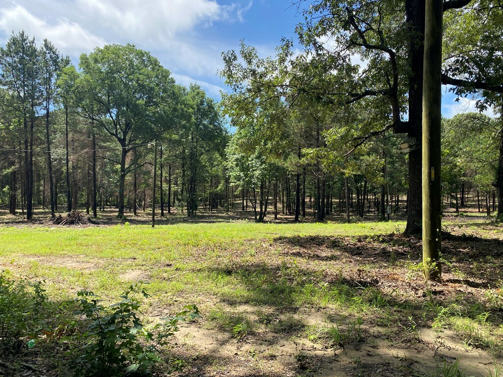 Property Photo: Tba-B Cr 3853 TX 75954
