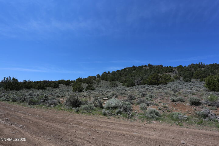 Property Photo:  2320 Lousetown Road  NV 89521 