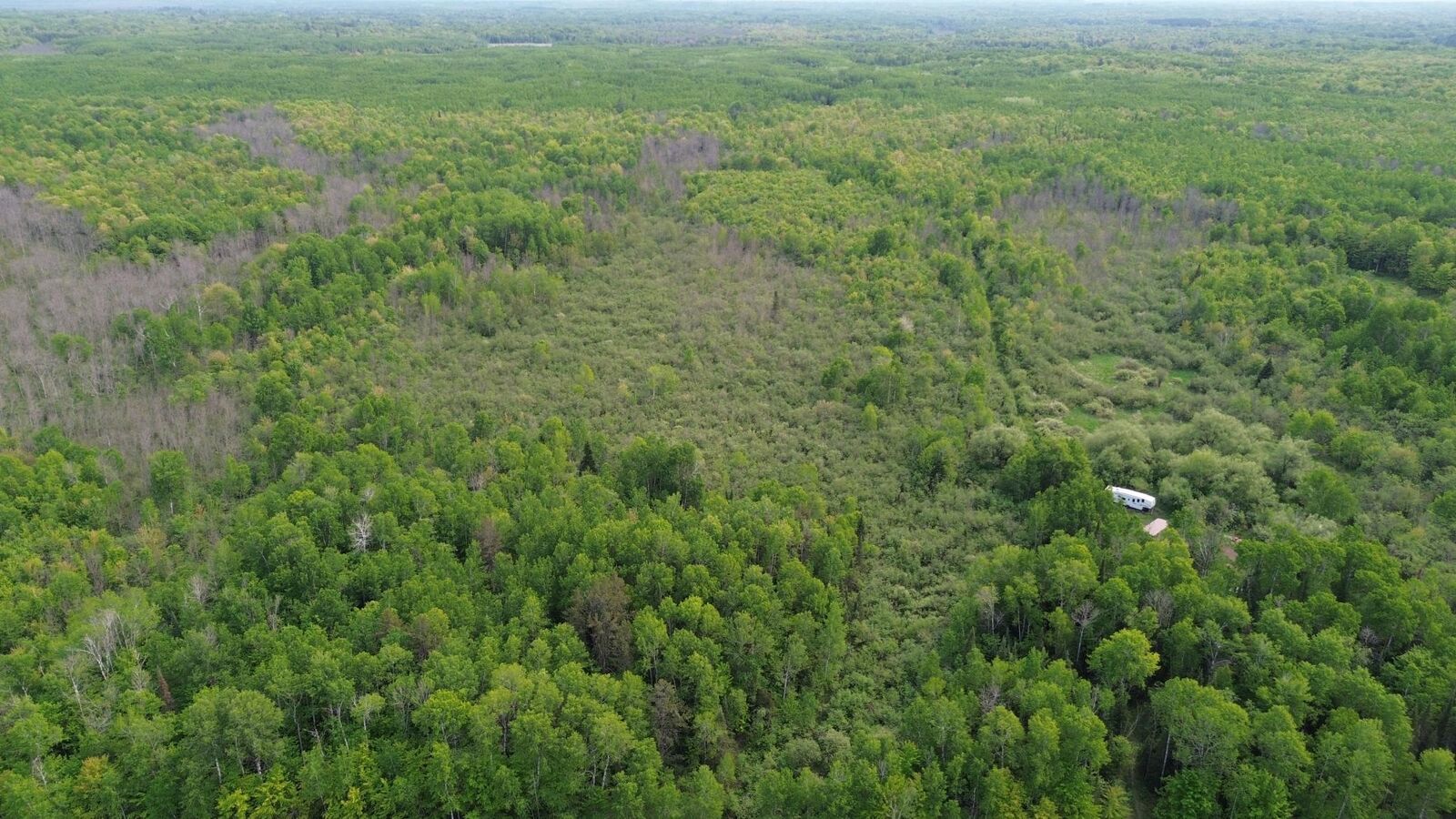 Property Photo: 7544E S Brannan Road WI 54854