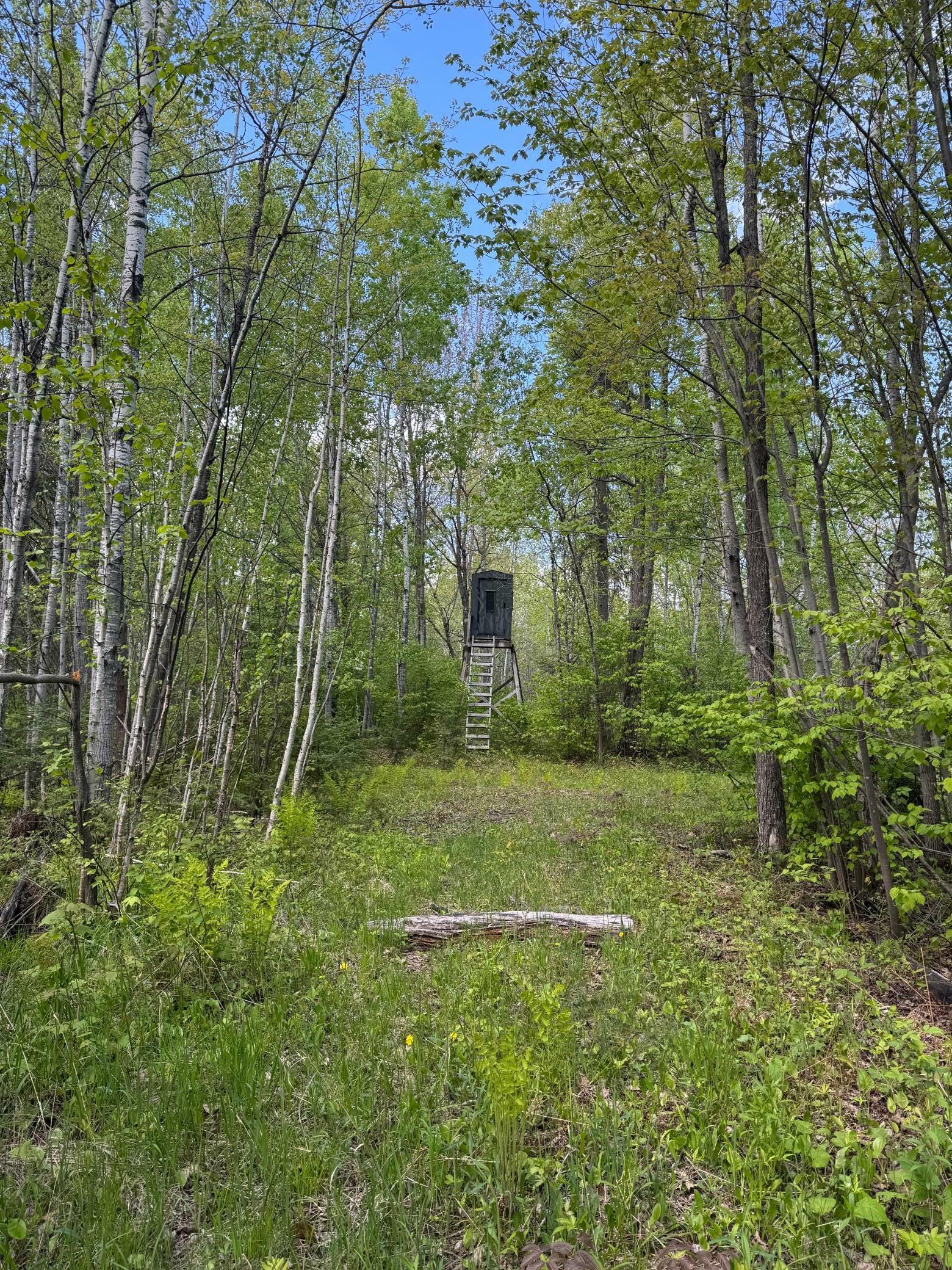 Property Photo:  7544E S Brannan Road  WI 54854 