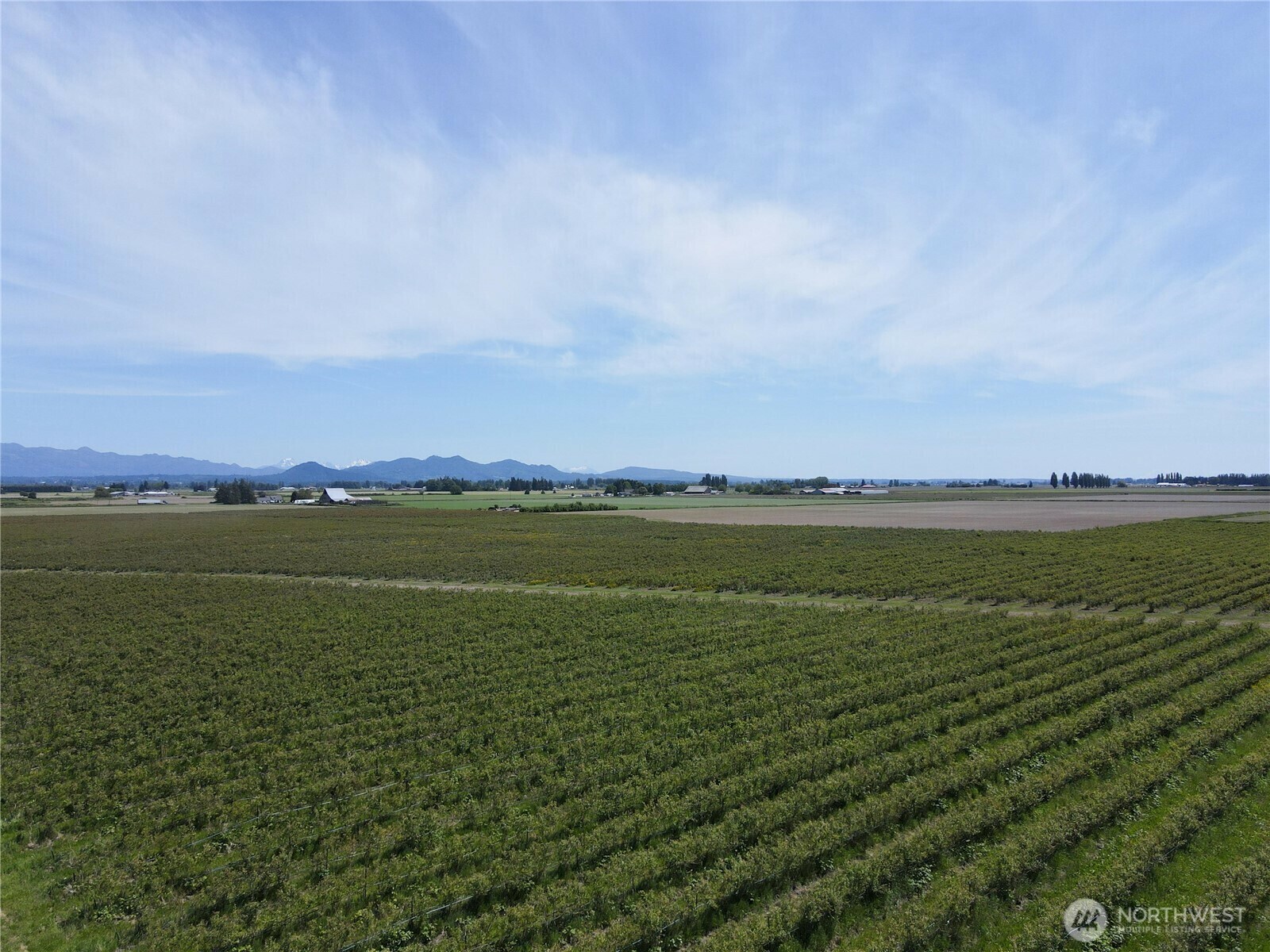 0  Young Road  Mount Vernon WA 98273 photo