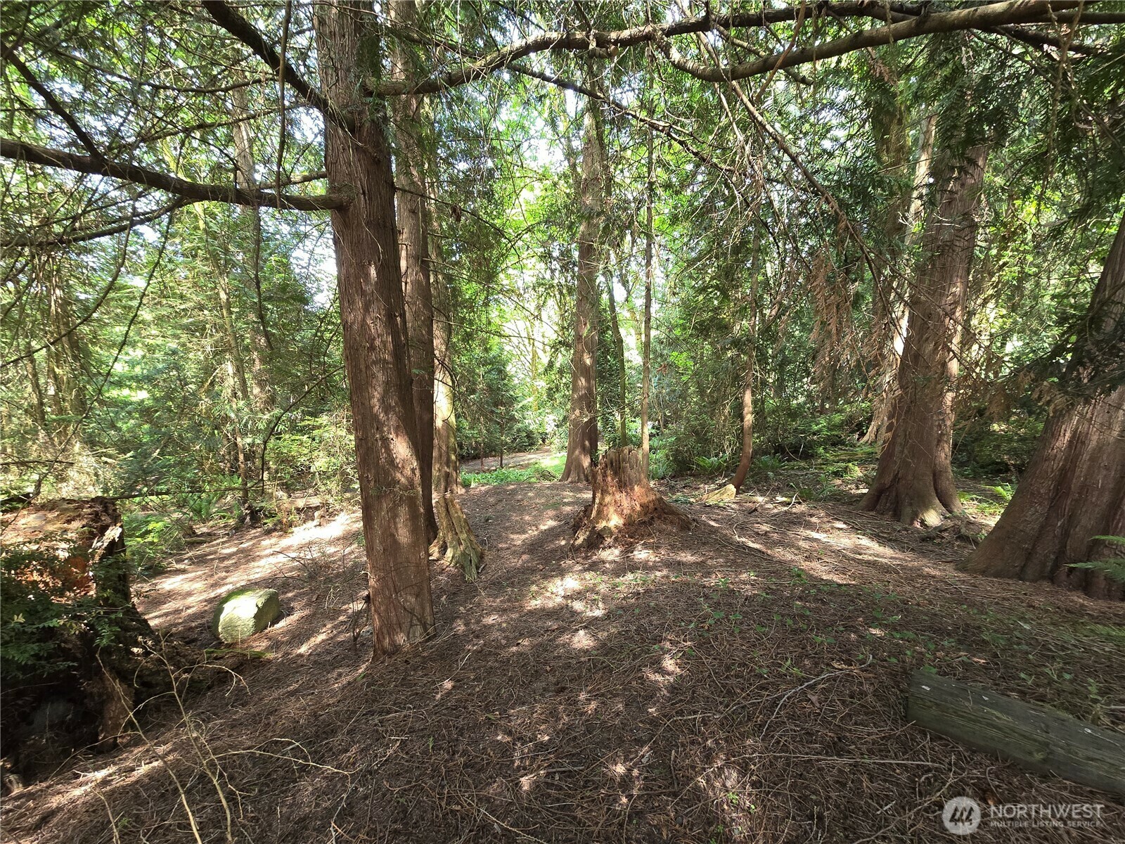 Property Photo: 0 University Point Circle NE WA 98311