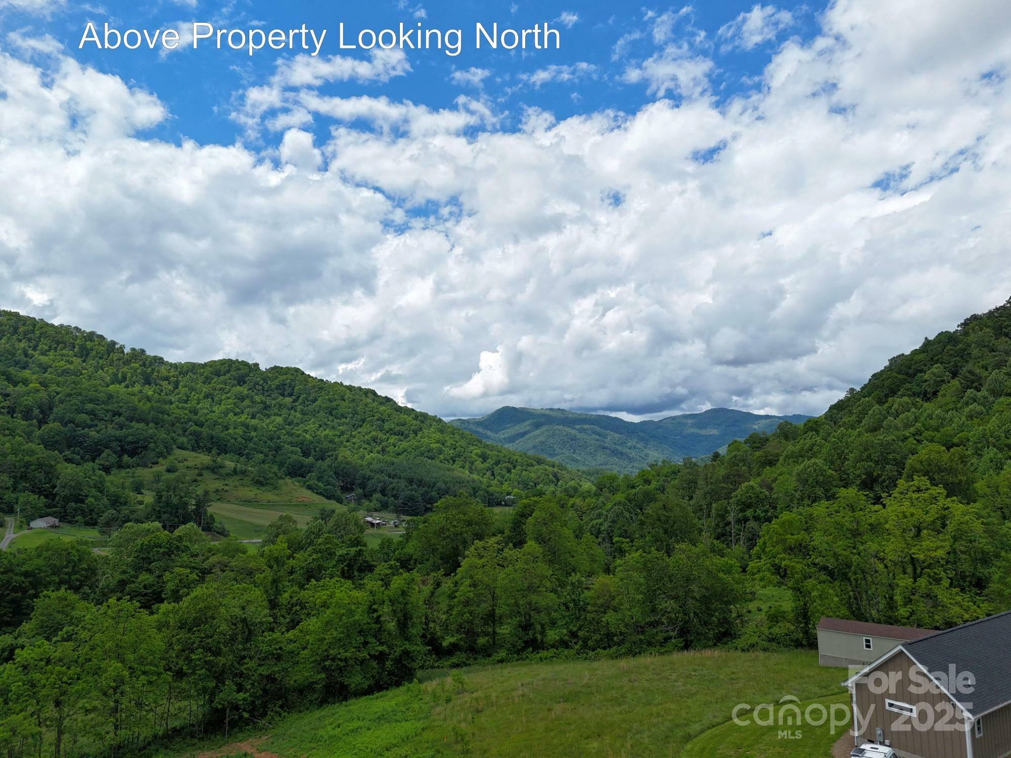 Property Photo: 280 Split Pine Cove NC 28721