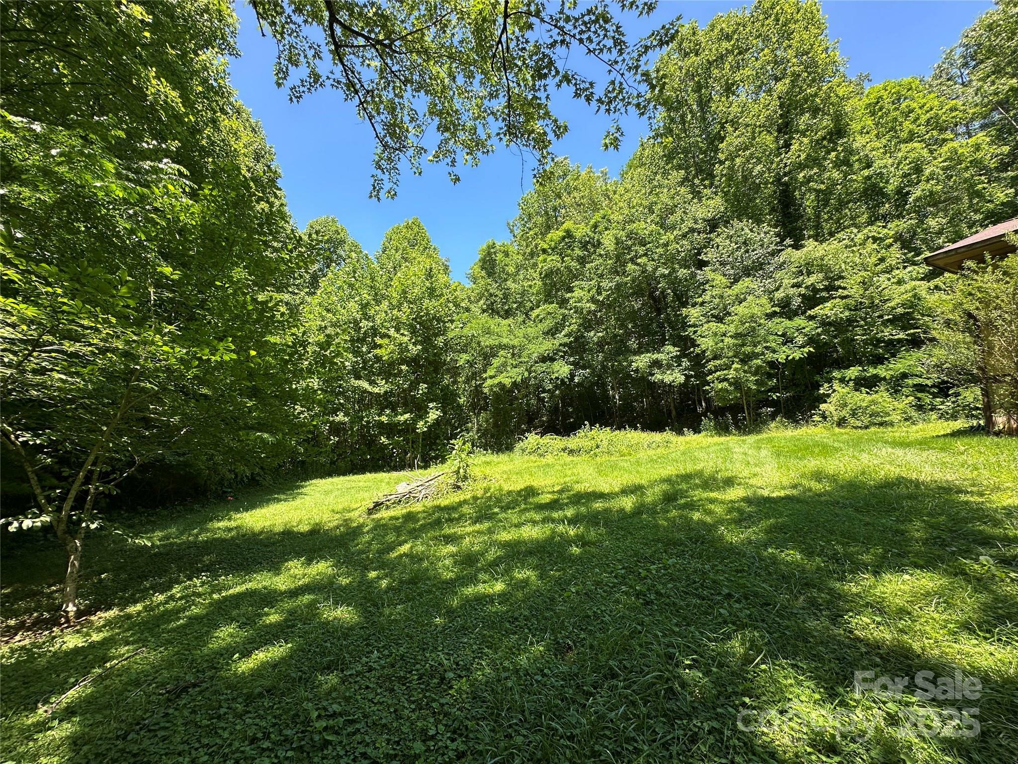 Property Photo: 204 Long Street NC 28752